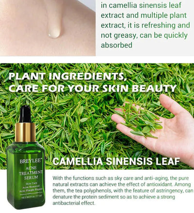 Essential Oils for Scar Repair and Skin Care Lumina Luxe Beauty